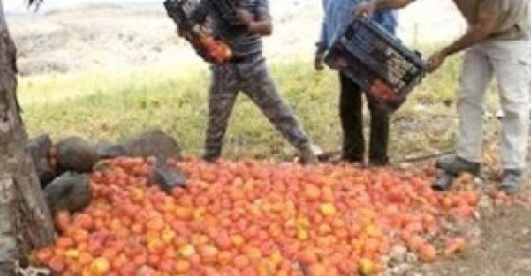 خبراء ينتقدون غياب مشاكل القطاع الزارعي عن بيان الثقة خبراء ينتقدون غياب مشاكل القطاع الزارعي عن بيان الثقة