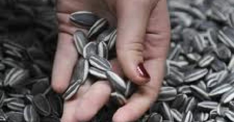 "فصفصة" وطنية!! "فصفصة" وطنية!!