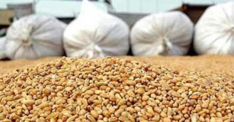 مخزون القمح في خطر مخزون القمح في خطر