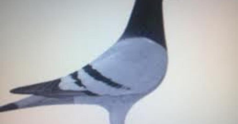 منع من الوصول منع من الوصول