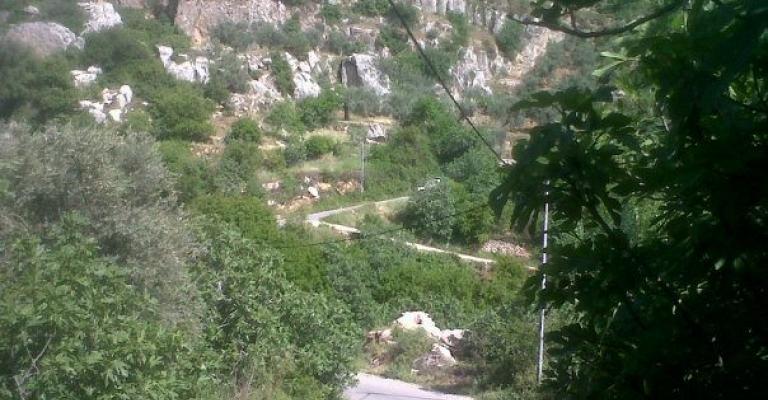 عجلون.. الزائر لا يرغب بالمغادرة 