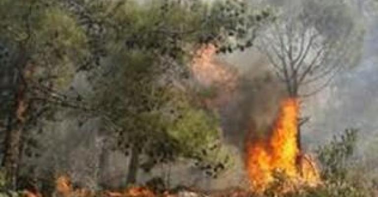 موسم الصيف .. موعد متجدد مع الحرائق الإسرائيلية الحدودية موسم الصيف .. موعد متجدد مع الحرائق الإسرائيلية الحدودية