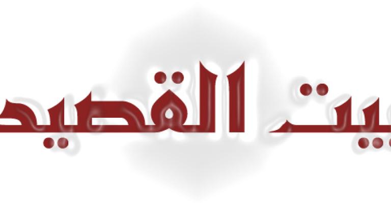 البحث عن بيت القصيد