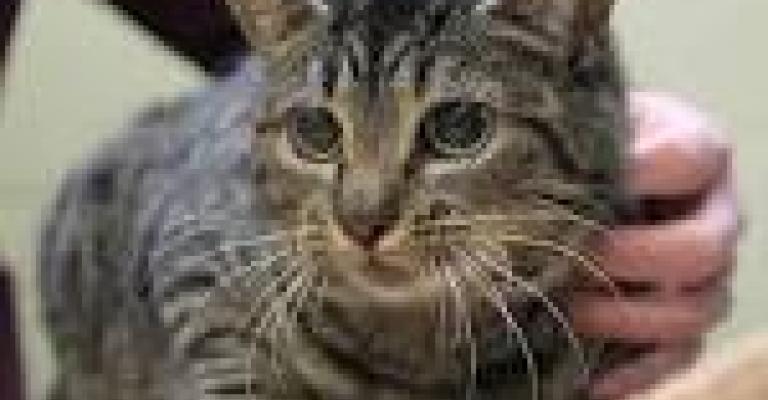 عملية تصنيع