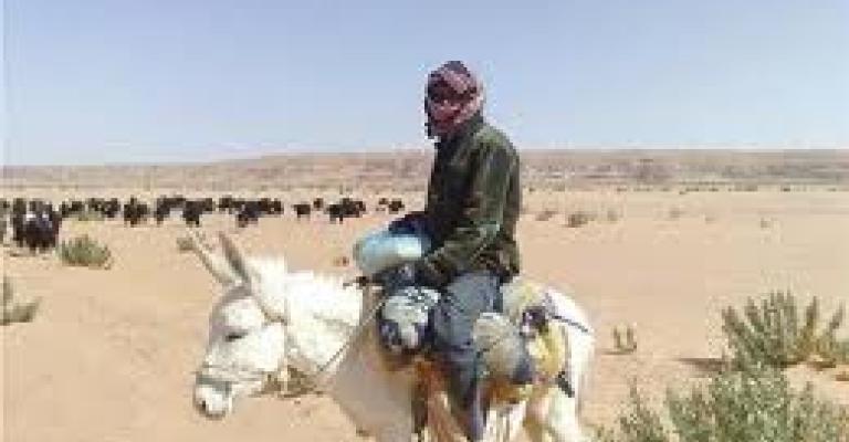 البدون... أردنيون من جانب واحد