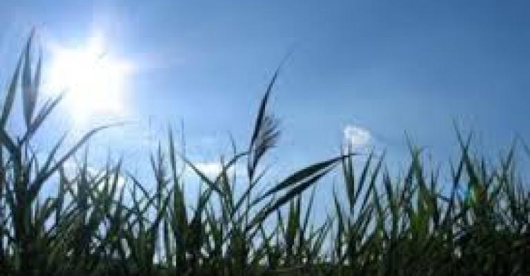 اجواء صيفية