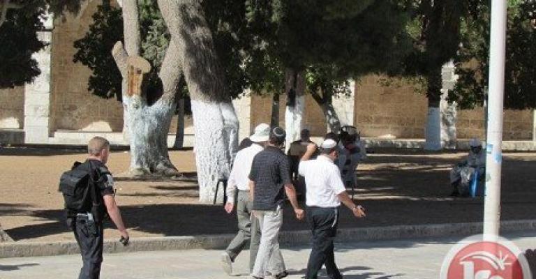 الأوقاف تحذر من تصاعد اقتحام المتطرفين للأقصى