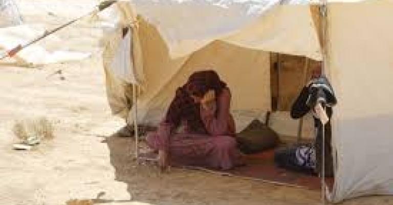 لجان طوعية لتعزيز الأمن في الزعتري (صوت) لجان طوعية لتعزيز الأمن في الزعتري (صوت)