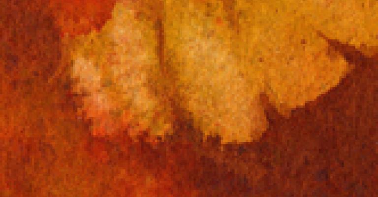 طبعة جديدة لكتاب العشاق الثلاثة للاديب زكي مبارك طبعة جديدة لكتاب العشاق الثلاثة للاديب زكي مبارك