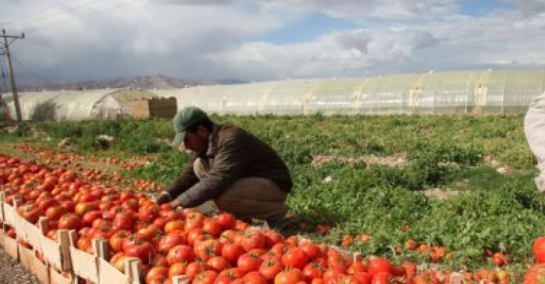 هيك بتعملي فيّ يا بندورة ..؟؟