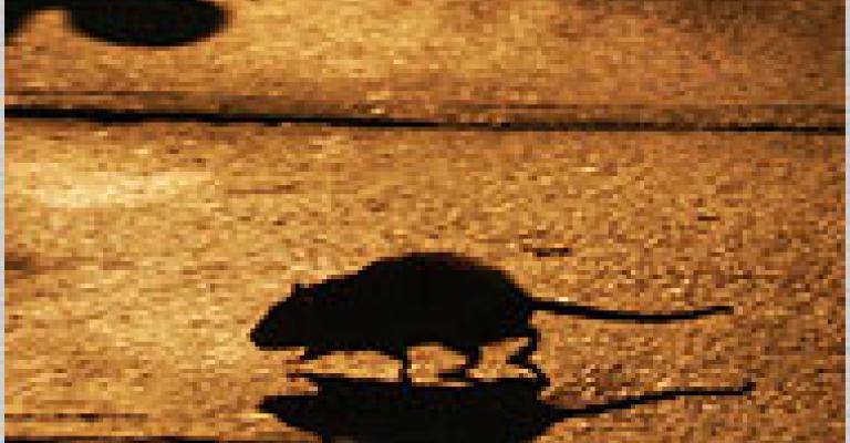 أنا و"الجردون" وهواك..!