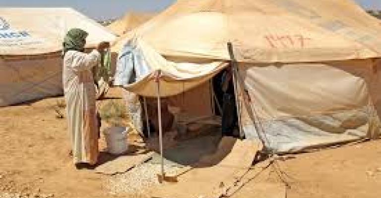 صورة للحياة الاجتماعية في الزعتري-فيديو