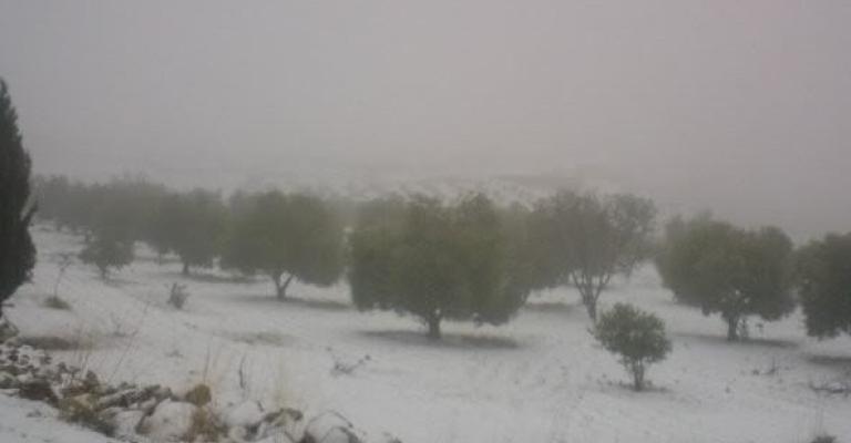 الكرك: العثور على رضيعة بين الثلوج