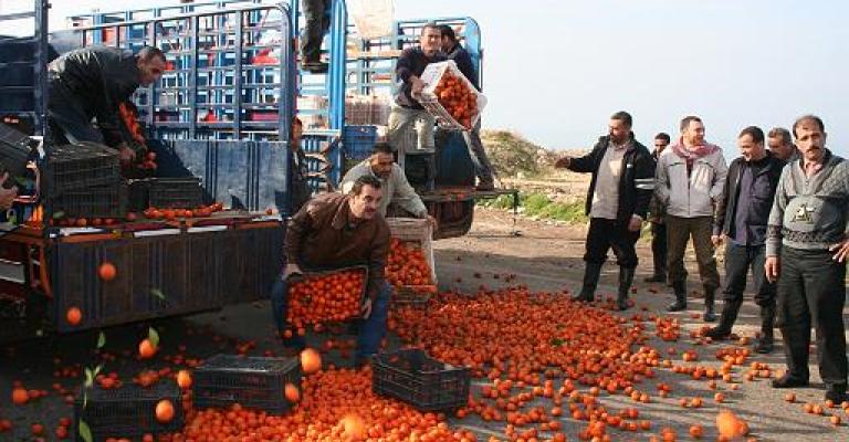 اتحاد المزارعين: استمرار استيراد الحمضيات سيؤثر سلباً على مزارعي الأردن