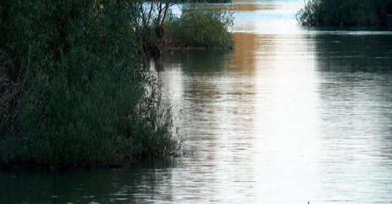 أبو حمور: لم نطلب كميات مياه إضافية من اسرائيل أبو حمور: لم نطلب كميات مياه إضافية من اسرائيل