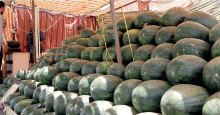 الامانة تستقبل تراخيص معرشات البطيخ مطلع نيسان الامانة تستقبل تراخيص معرشات البطيخ مطلع نيسان