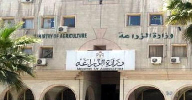 "مصدري الخضار": الزراعة تخالف اتفاقيات التبادل التجاري 