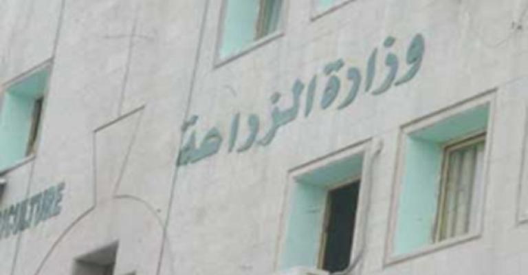 الزراعة: من المبكر الحديث عن حالة جفاف