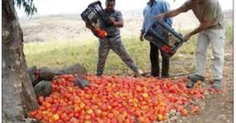 الإقراض الزراعي : جدولة ديون المزارعين المتعسرين الإقراض الزراعي : جدولة ديون المزارعين المتعسرين