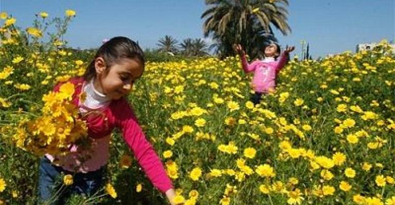 ارتفاع على درجات الحرارة اليوم