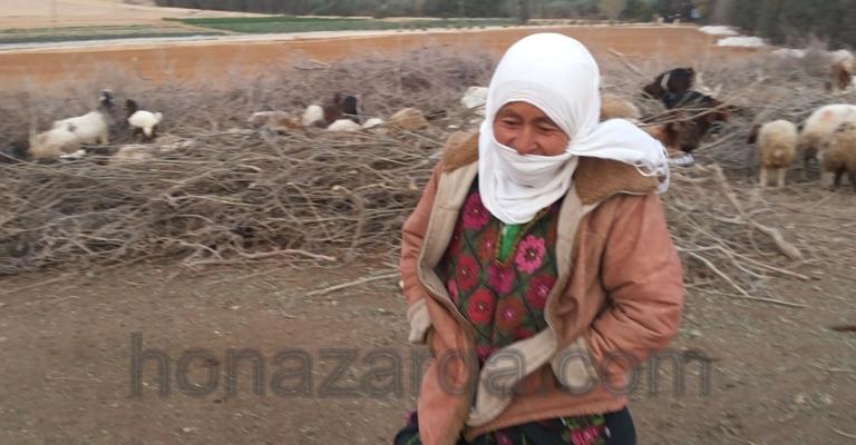 أمهات في الظليل يتحدين الفقر وينتزعن الحياة لأسرهن