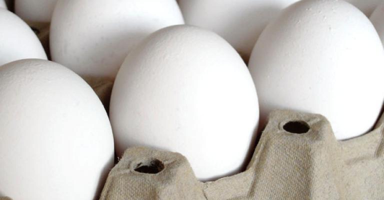 جمجوم: اعفاء بيض المائدة من ضريبة المبيعات سيخفض أسعاره 