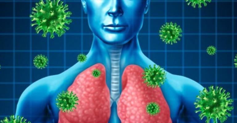 الاشتباه بـ15 إصابة بالكورونا..وحليب الجمال ناقل أساسي للمرض