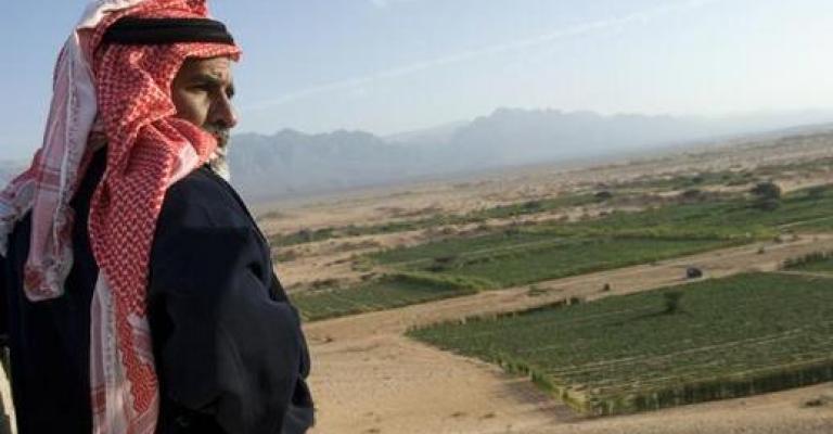 الحكومة تقر خطة لتنمية وتطوير وادي عربة