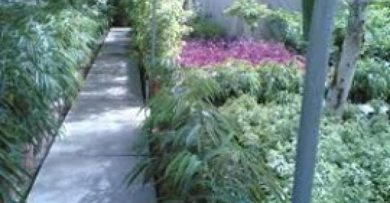 لاجئون سوريون يحاولون بعث الحياة في الصحراء