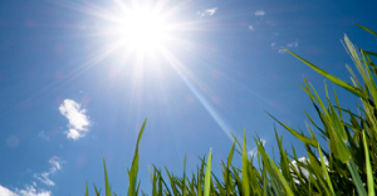 أجواء ربيعية والعظمى في عمان 26 درجة أجواء ربيعية والعظمى في عمان 26 درجة