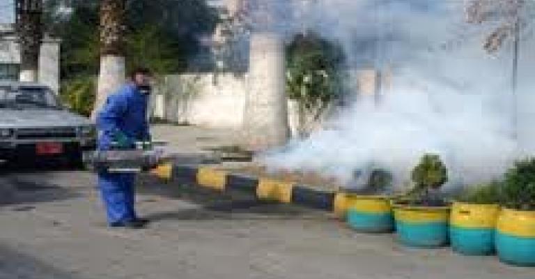 الأمانة: بدء حملة مكافحة الحشرات