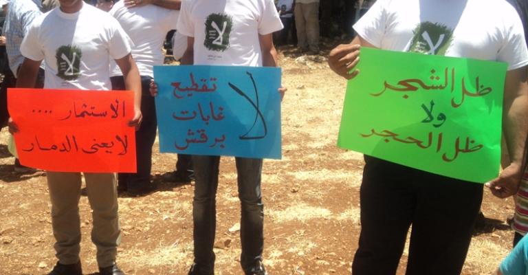 أشجار برقش.. بين أقلام الكتّاب