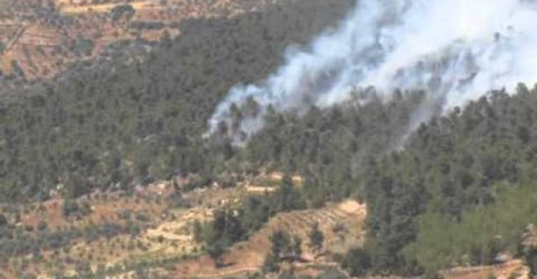 اخماد حريق في غابات دبين اخماد حريق في غابات دبين