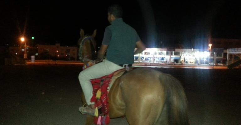 دعوات لضبط وتنظيم مهنة تأجير الخيول بالزرقاء