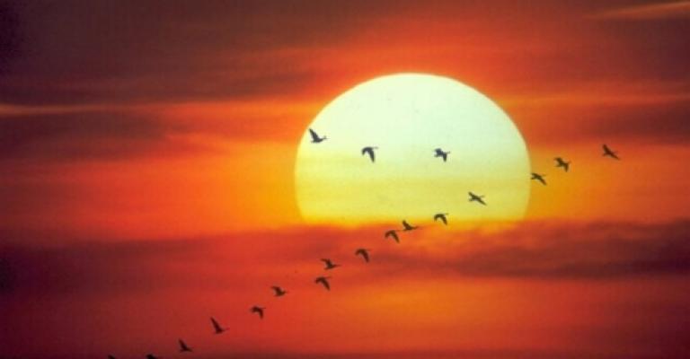  طقس حار وجاف الاثنين والثلاثاء