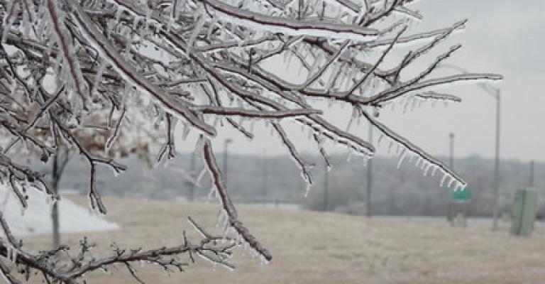 طقس بارد واحتمال تشكل الصقيع اليوم وحتى السبت
