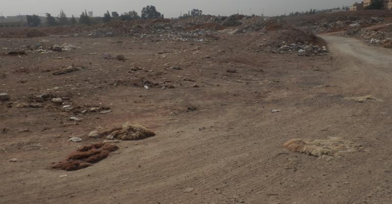 مخلفات أضاحي لا تزال متكدسة في الزرقاء منذ العيد