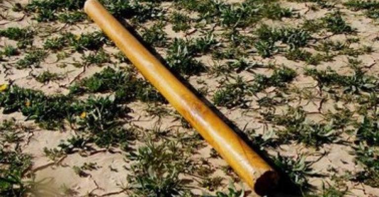 "المعلمين" تستنكر استمرار الإعتداء على كوادرها "المعلمين" تستنكر استمرار الإعتداء على كوادرها