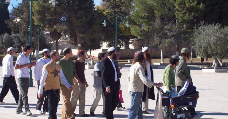 مدير عام الأقصى: تضاعف اقتحامات المسجد رغم التهدئة 