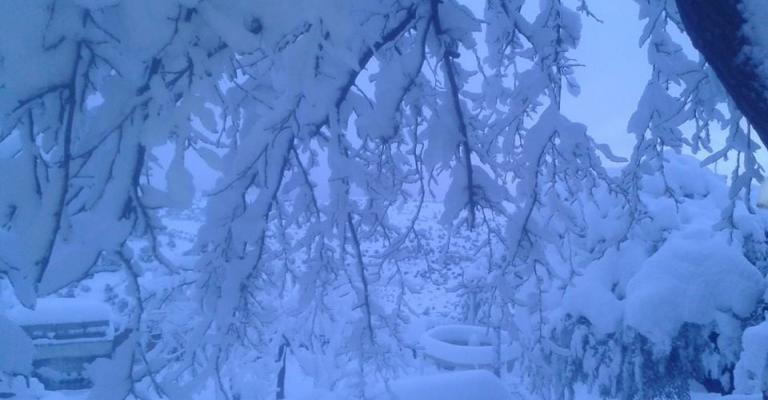 ثلوج أمس واليوم الخميس في بلدة كفر خل - جرش - تصوير صلاح محاسنة ثلوج أمس واليوم الخميس في بلدة كفر خل - جرش - تصوير صلاح محاسنة