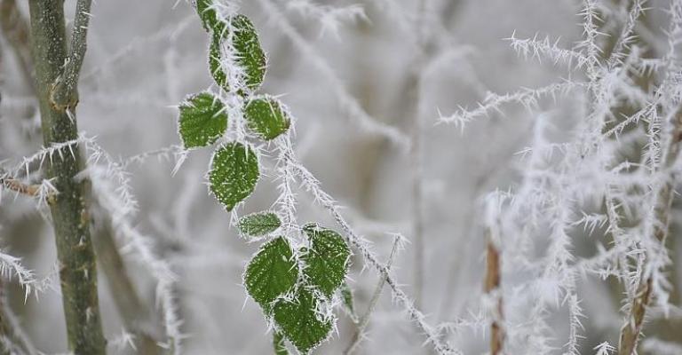 تحذيرات دائرة الأرصاد اليوم الأحد