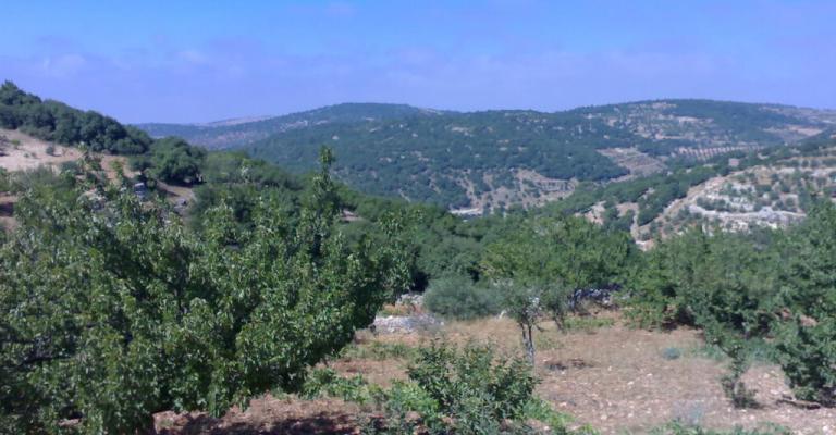 طقس دافئ والحرارة في عمان بين 19 و 9 طقس دافئ والحرارة في عمان بين 19 و 9