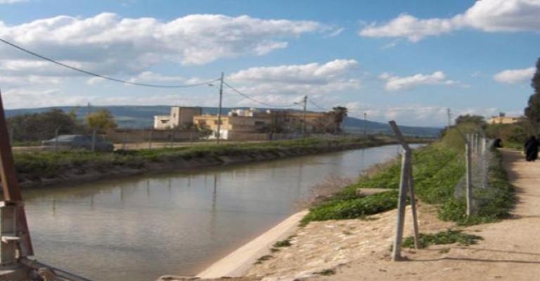 قناة الملك عبدالله مصيدة للأرواح قناة الملك عبدالله مصيدة للأرواح