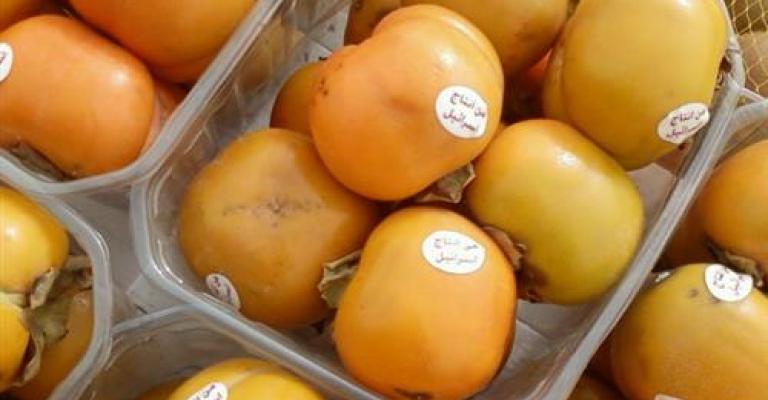 الزراعة: لا كاكا وافوكادو اسرائيلية في الأسواق الأردنية