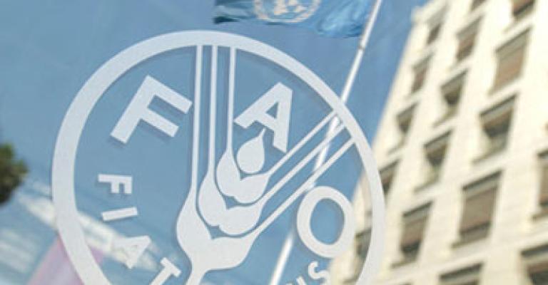 "الفاو": الأزمة السورية تخلف نحو 10 مليون شخص غير آمن غذائياً