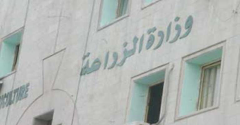 الزراعة تنفي وجود قرار سوري بالتوقف عن الإستيراد من الأردن