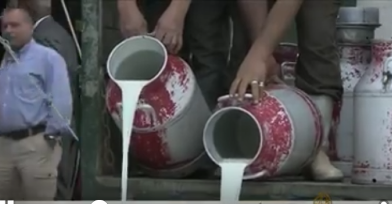 اصحاب مزارع في الظليل يلوحون بالاعتصام مع ابقارهم أمام رئاسة الوزراء