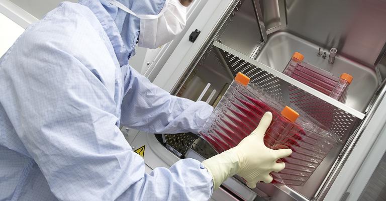 نقل الخلايا الجذعية حلم الكثير من المصابين السوريين في الأردن