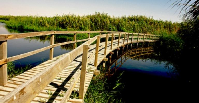 محمية الازرق تجاهد لاستعادة مياهها وطيورها المهاجرة محمية الازرق تجاهد لاستعادة مياهها وطيورها المهاجرة