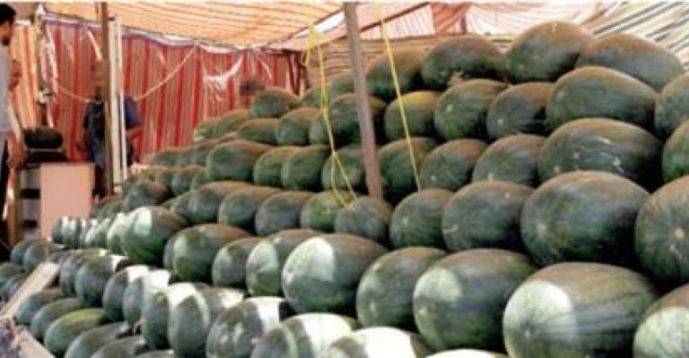الموافقة على 120 طلبا لبيع البطيخ والشمام في العاصمة